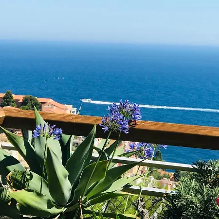 Costa Plana Collection - - Monaco *