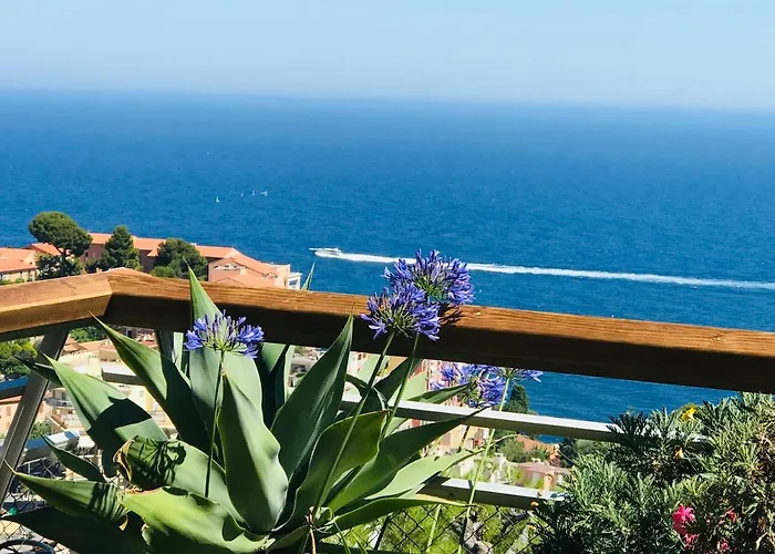 Costa Plana Collection - - Monaco *
