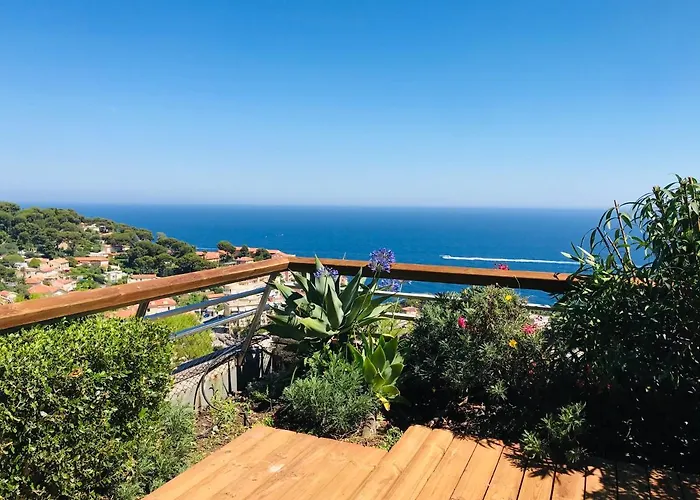 Costa Plana Collection - - Monaco