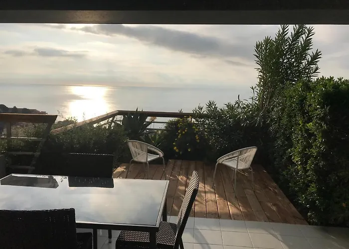 Costa Plana Collection - - Monaco * カップダイユ