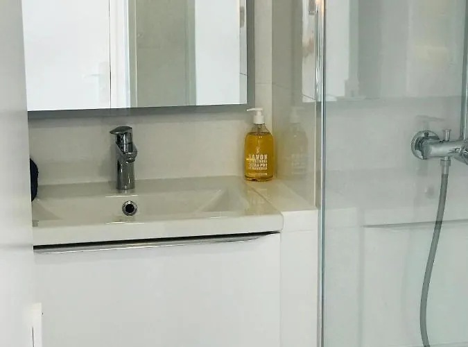 Costa Plana Collection - - Monaco カップダイユ