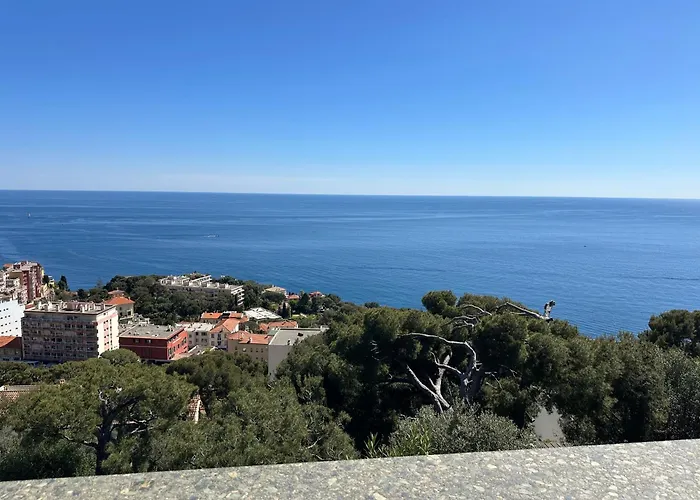 Costa Plana Collection - - Monaco